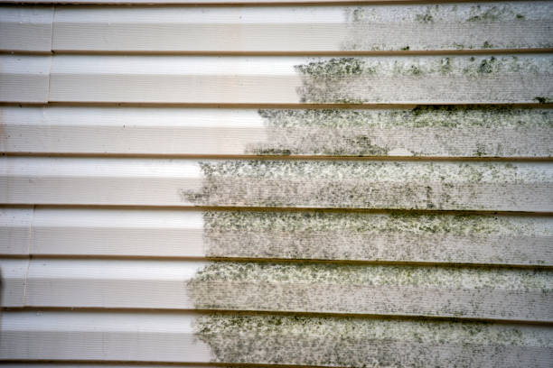 Best Shed Removal  in Modesto, CA